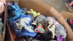 Home / Amazon Return Pallets / Baby Clothes & Shoes Pallets - Image 9